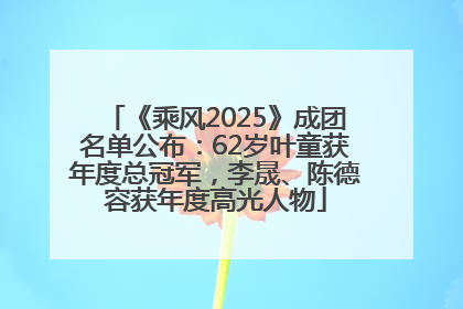 《乘风2025》成团名单公布：62岁叶童获年度总冠军，李晟、陈德容获年度高光人物
