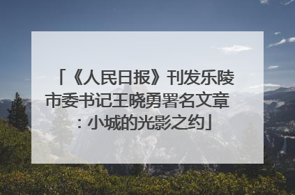 《人民日报》刊发乐陵市委书记王晓勇署名文章：小城的光影之约