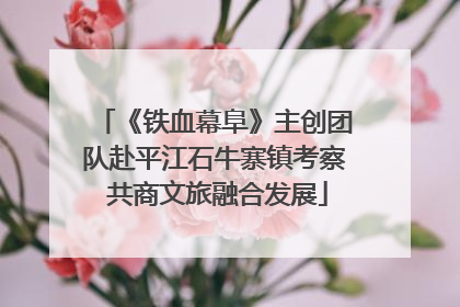 《铁血幕阜》主创团队赴平江石牛寨镇考察 共商文旅融合发展