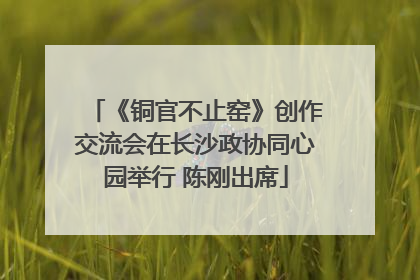 《铜官不止窑》创作交流会在长沙政协同心园举行 陈刚出席