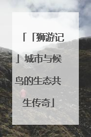 「狮游记」城市与候鸟的生态共生传奇