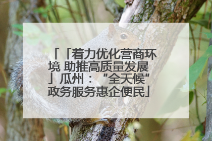 「着力优化营商环境 助推高质量发展」瓜州：“全天候”政务服务惠企便民