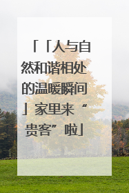 「人与自然和谐相处的温暖瞬间」家里来“贵客”啦