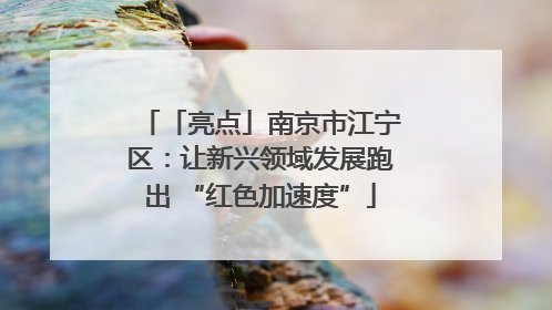 「亮点」南京市江宁区：让新兴领域发展跑出 “红色加速度”