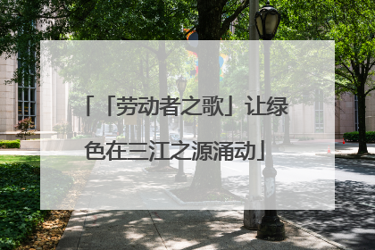 「劳动者之歌」让绿色在三江之源涌动