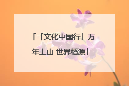 「文化中国行」万年上山 世界稻源