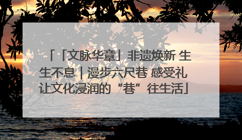 「文脉华章」非遗焕新 生生不息｜漫步六尺巷 感受礼让文化浸润的“巷”往生活