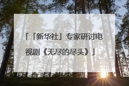 「新华社」专家研讨电视剧《无尽的尽头》