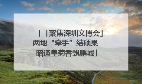 「聚焦深圳文博会」两地“牵手”结硕果 昭通皇菊香飘鹏城