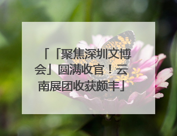 「聚焦深圳文博会」圆满收官！云南展团收获颇丰