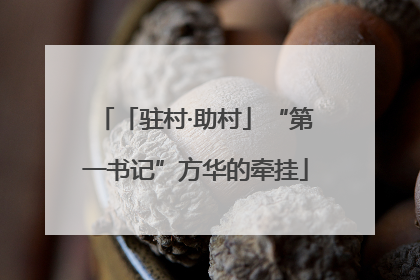 「驻村·助村」“第一书记”方华的牵挂