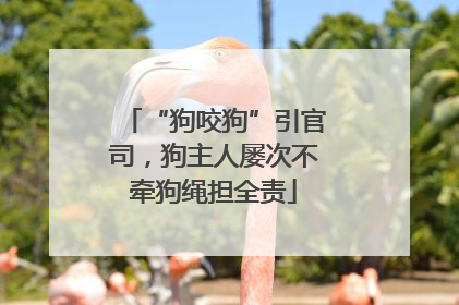 “狗咬狗”引官司，狗主人屡次不牵狗绳担全责