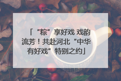 “粽”享好戏 戏韵流芳！共赴河北“中华有好戏”特别之约