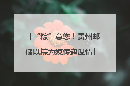 “粽”意您！贵州邮储以粽为媒传递温情