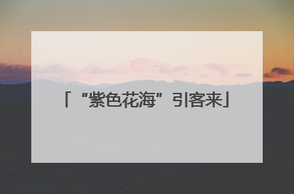 “紫色花海”引客来