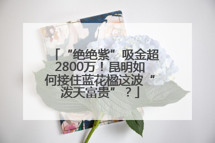 “绝绝紫”吸金超2800万！昆明如何接住蓝花楹这波“泼天富贵”？