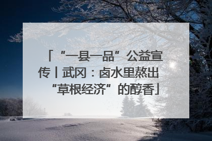 “一县一品”公益宣传丨武冈：卤水里熬出“草根经济”的醇香