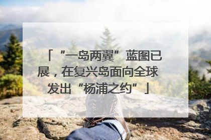 “一岛两翼”蓝图已展，在复兴岛面向全球发出“杨浦之约”