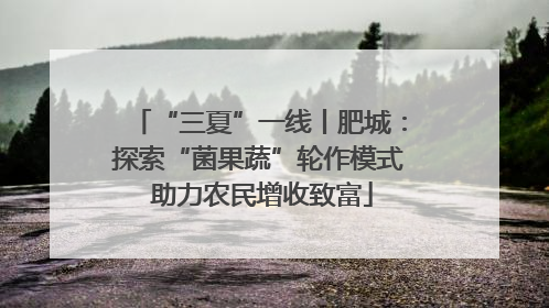 “三夏”一线丨肥城：探索“菌果蔬”轮作模式 助力农民增收致富
