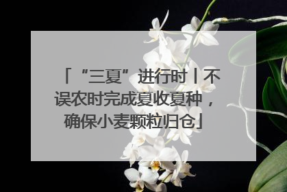 “三夏”进行时丨不误农时完成夏收夏种，确保小麦颗粒归仓