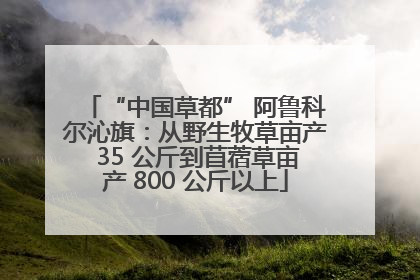 “中国草都” 阿鲁科尔沁旗：从野生牧草亩产 35 公斤到苜蓿草亩产 800 公斤以上