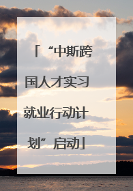 “中斯跨国人才实习就业行动计划”启动