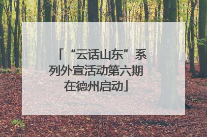 “云话山东”系列外宣活动第六期在德州启动