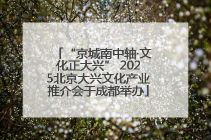“京城南中轴·文化正大兴” 2025北京大兴文化产业推介会于成都举办