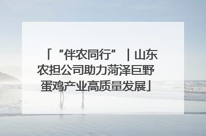 “伴农同行”｜山东农担公司助力菏泽巨野蛋鸡产业高质量发展