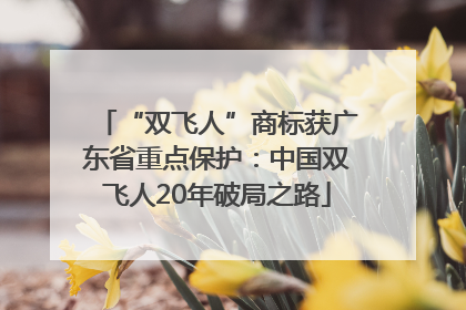 “双飞人”商标获广东省重点保护：中国双飞人20年破局之路