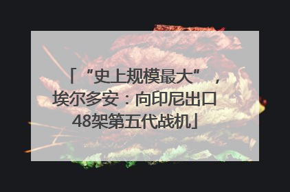 “史上规模最大”，埃尔多安：向印尼出口48架第五代战机