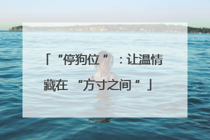 “停狗位 ”：让温情藏在 “方寸之间 ”