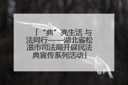 “典”亮生活 与法同行——湖北省松滋市司法局开展民法典宣传系列活动