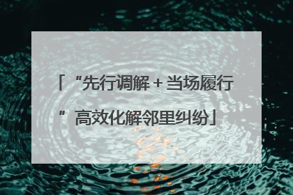 “先行调解＋当场履行”高效化解邻里纠纷
