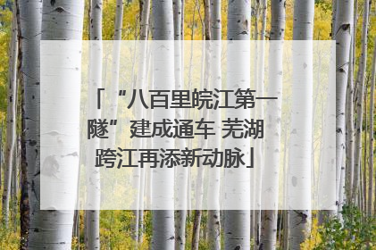 “八百里皖江第一隧”建成通车 芜湖跨江再添新动脉