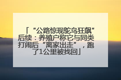 “公路惊现鸵鸟狂飙”后续：养殖户称它与同类打闹后“离家出走”，跑了1公里被找回