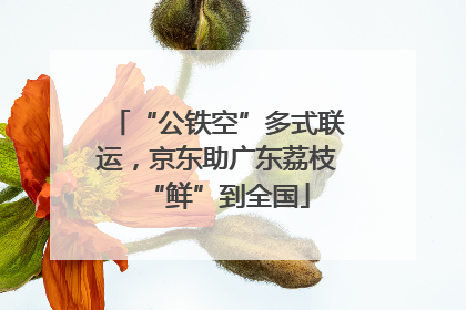 “公铁空”多式联运，京东助广东荔枝“鲜”到全国