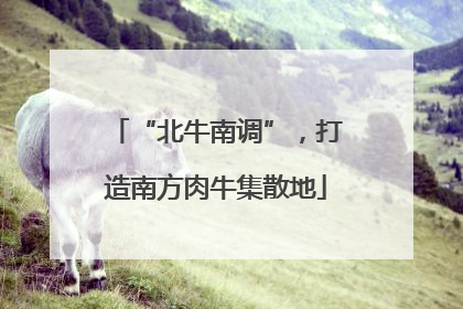 “北牛南调”，打造南方肉牛集散地