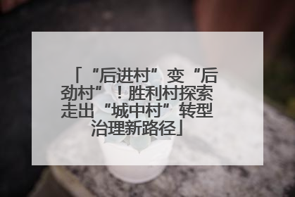 “后进村”变“后劲村”！胜利村探索走出“城中村”转型治理新路径