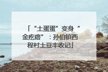 “土蛋蛋”变身“金疙瘩”：孙伯镇西程村土豆丰收记