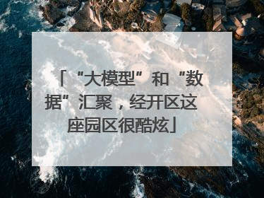 “大模型”和“数据”汇聚，经开区这座园区很酷炫