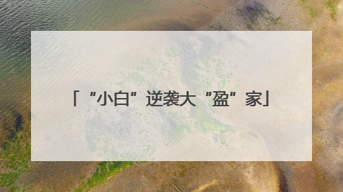 “小白”逆袭大“盈”家