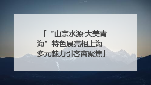 “山宗水源·大美青海”特色展亮相上海 多元魅力引客商聚焦