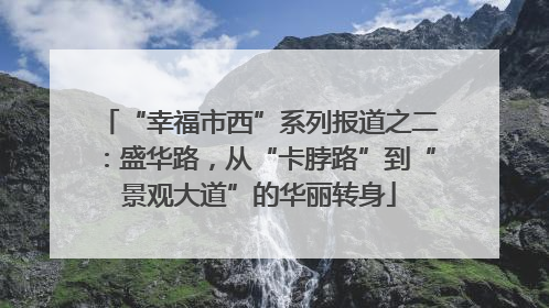 “幸福市西”系列报道之二：盛华路，从“卡脖路”到“景观大道”的华丽转身