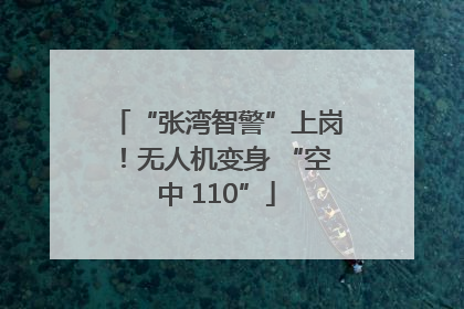“张湾智警”上岗！无人机变身 “空中 110”