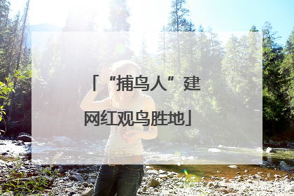 “捕鸟人”建网红观鸟胜地