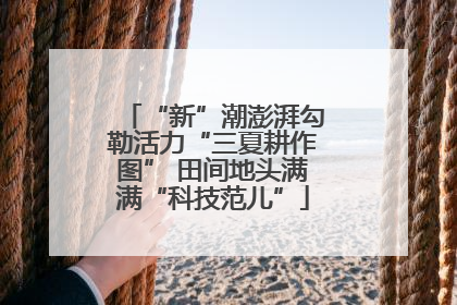 “新”潮澎湃勾勒活力“三夏耕作图” 田间地头满满“科技范儿”