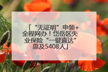 “无证明”申领+全程网办！岱岳区失业保险“一键直达”惠及5408人