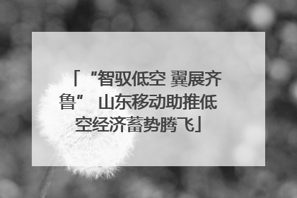 “智驭低空 翼展齐鲁” 山东移动助推低空经济蓄势腾飞