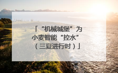 “机械城堡”为小麦智能“控水”（三夏进行时）